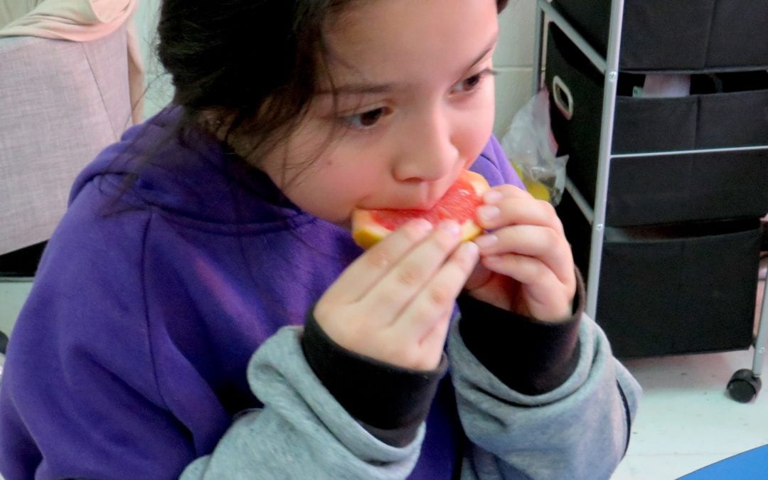 Trout Primary students try new foods with the Fresh Fruit and Vegetable Program (FFVP)